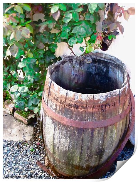 Rain Barrel Print by Stephanie Moore