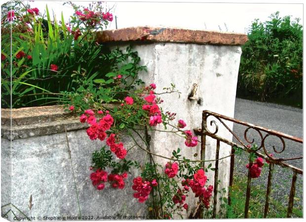 Irish gate post with roses Canvas Print by Stephanie Moore