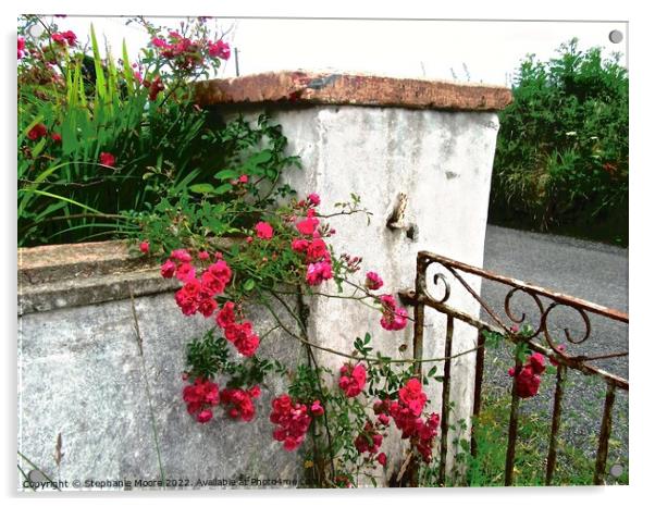Irish gate post with roses Acrylic by Stephanie Moore