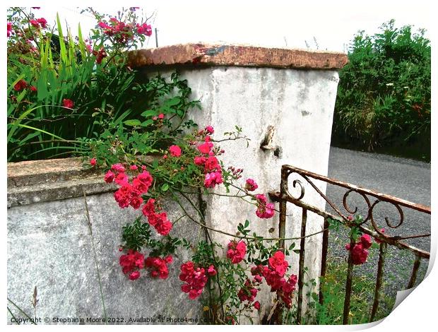 Irish gate post with roses Print by Stephanie Moore