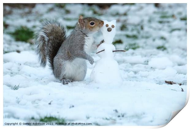 Grey squirrel building a snow squirrel in the snow Print by Gerald Robinson