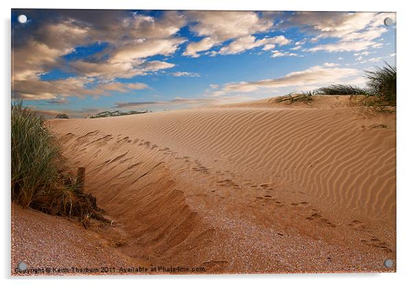 Aberlady Sand Dunes Acrylic by Keith Thorburn EFIAP/b