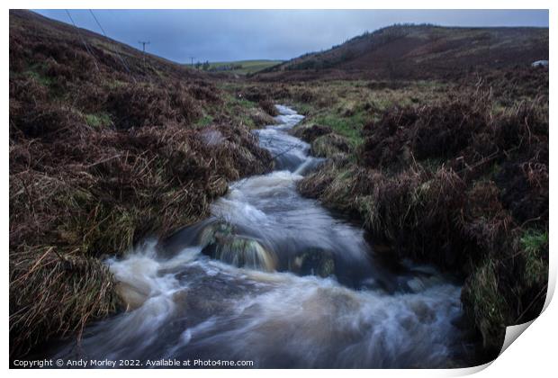 Breamish Valley Print by Andy Morley