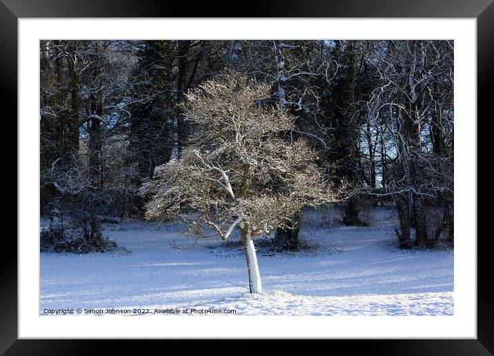 Winter  tree Framed Mounted Print by Simon Johnson