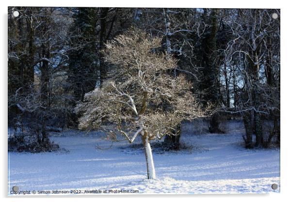 Winter  tree Acrylic by Simon Johnson