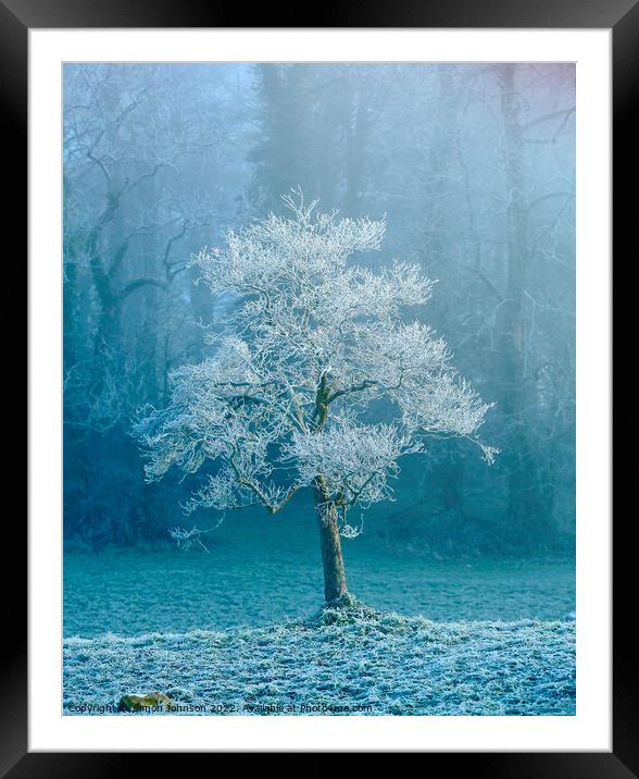 frosted tree Framed Mounted Print by Simon Johnson