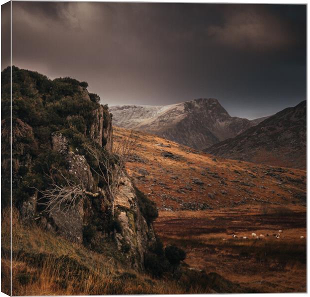 Wintery Showers over Y Garn Canvas Print by Clive Ashton
