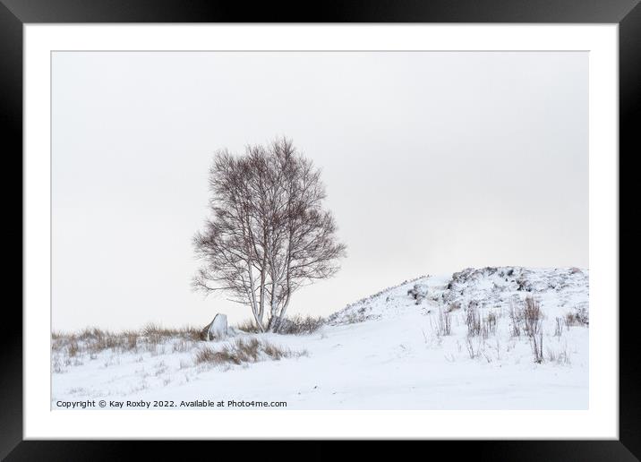 Silver Birch tree in snow Framed Mounted Print by Kay Roxby