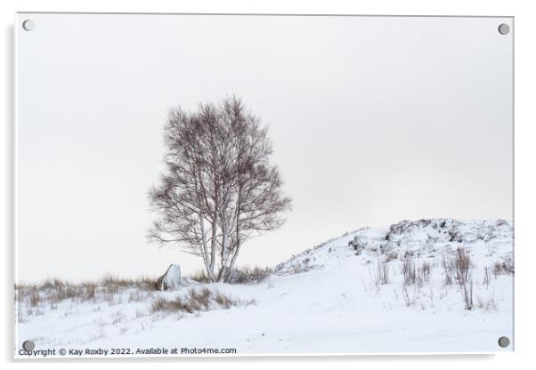 Silver Birch tree in snow Acrylic by Kay Roxby