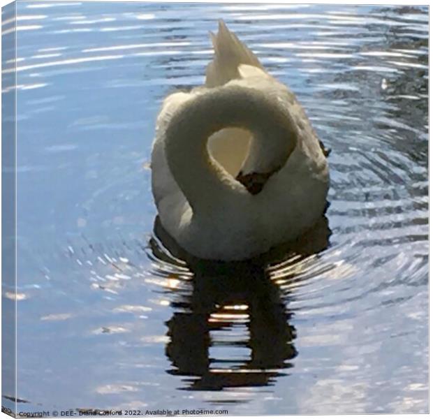 Figure of Eight Swan Canvas Print by DEE- Diana Cosford