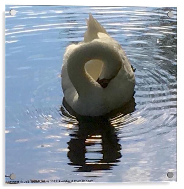Figure of Eight Swan Acrylic by DEE- Diana Cosford