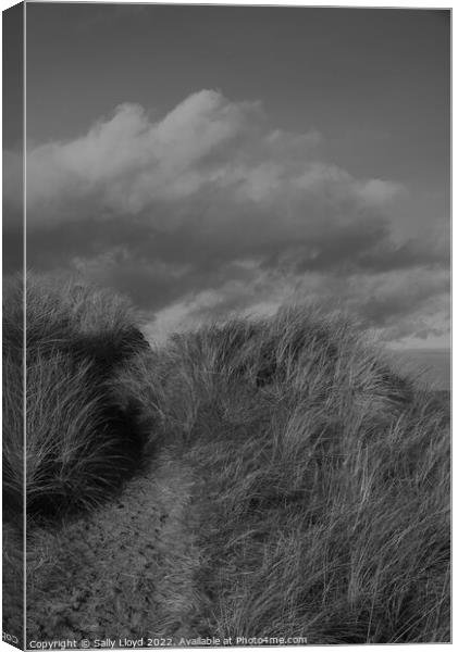 Dunes and sky at Winterton-on-Sea, Norfolk Canvas Print by Sally Lloyd