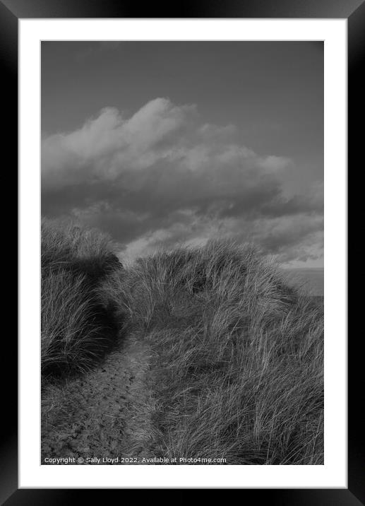 Dunes and sky at Winterton-on-Sea, Norfolk Framed Mounted Print by Sally Lloyd