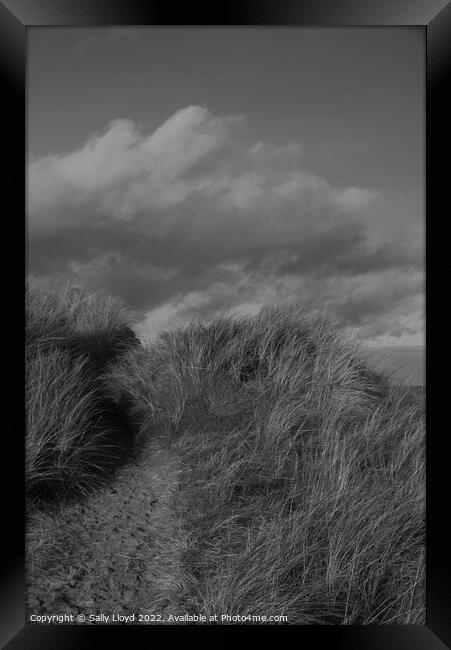 Dunes and sky at Winterton-on-Sea, Norfolk Framed Print by Sally Lloyd