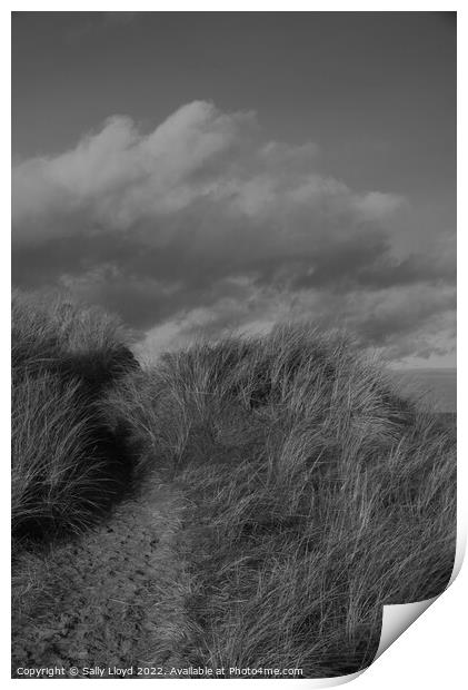 Dunes and sky at Winterton-on-Sea, Norfolk Print by Sally Lloyd