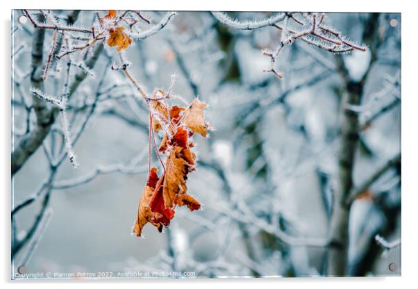 Frozen lone autumn leaf on a bare tree branch. Acrylic by Plamen Petrov