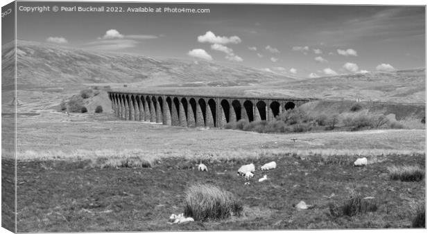Ribblehead Viaduct Yorkshire Black and White Canvas Print by Pearl Bucknall