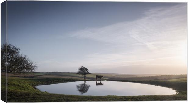 Dew Pond on Ditchling Beacon Canvas Print by Mark Jones