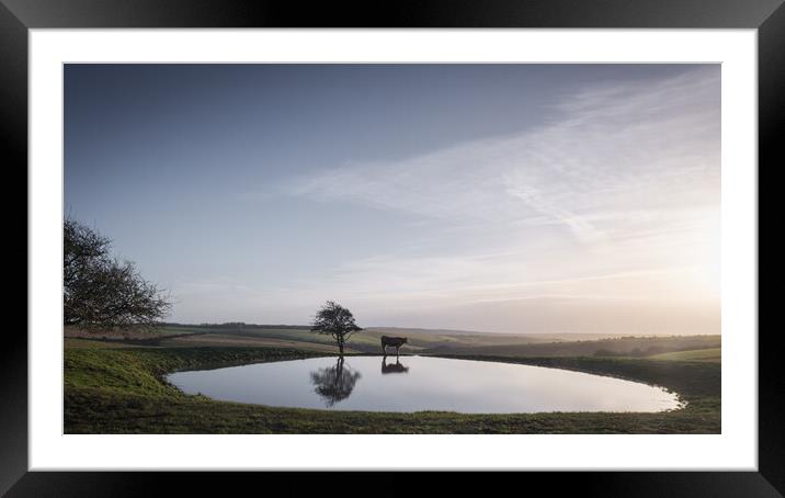 Dew Pond on Ditchling Beacon Framed Mounted Print by Mark Jones