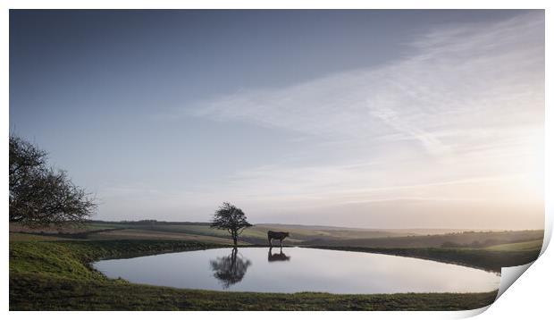 Dew Pond on Ditchling Beacon Print by Mark Jones