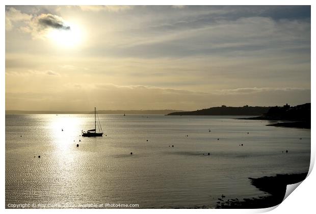 St. Mawes Silhouette Print by Roy Curtis