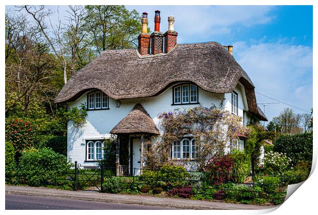 Beehive Cottage, Lyndhurst Print by Gerry Walden LRPS
