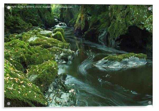 Fairy Glen River Conwy Betws y Coed North Wales  Acrylic by Nick Jenkins