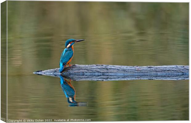 Kingfisher perched on a log with reflection  Canvas Print by Vicky Outen