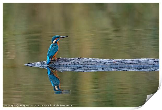 Kingfisher perched on a log with reflection  Print by Vicky Outen