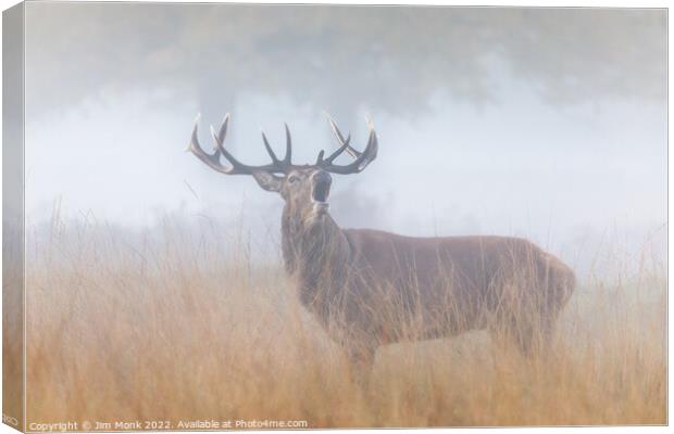 Bellowing Red Deer Stag Canvas Print by Jim Monk