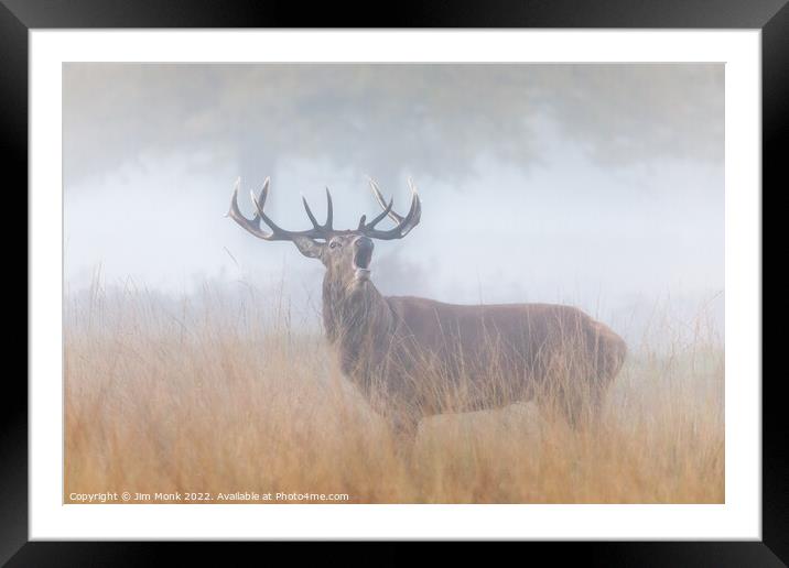 Bellowing Red Deer Stag Framed Mounted Print by Jim Monk