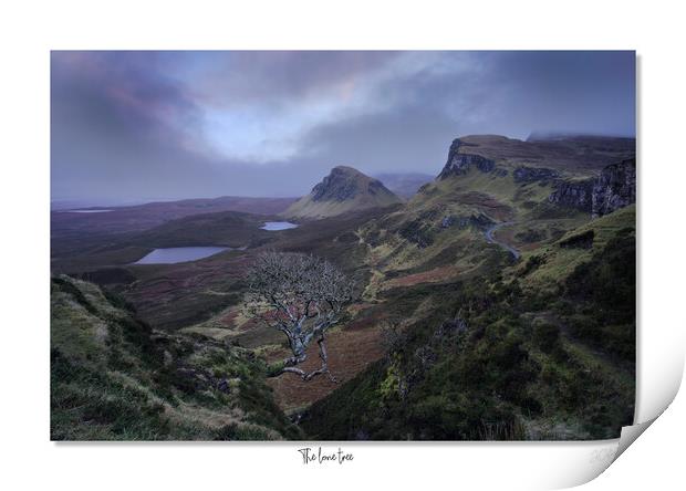The lone tree on Skye Quiraing Scotland Highlands Print by JC studios LRPS ARPS
