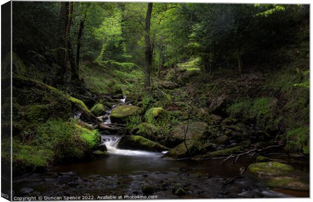 If You Go Down To The Woods....Wyming Brook, Sheff Canvas Print by Duncan Spence