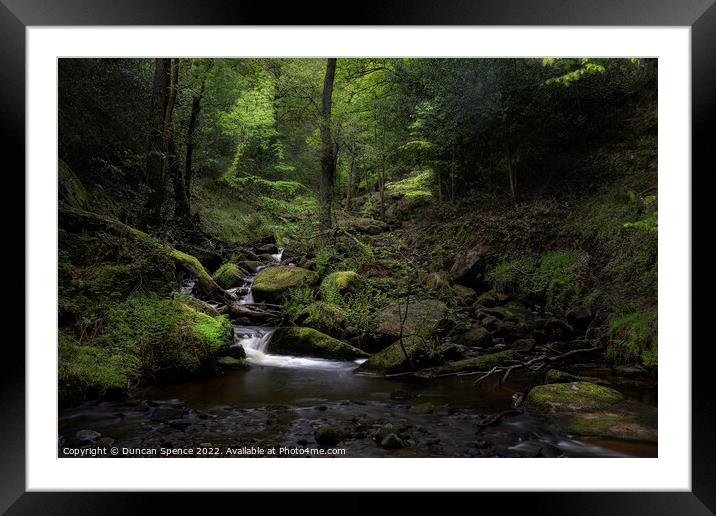 If You Go Down To The Woods....Wyming Brook, Sheff Framed Mounted Print by Duncan Spence