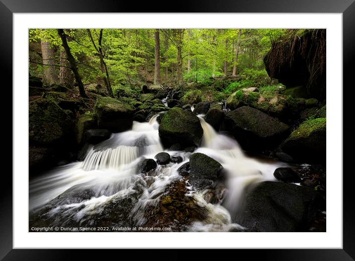 Wyming Brook Nature Reserve, Sheffield. Framed Mounted Print by Duncan Spence