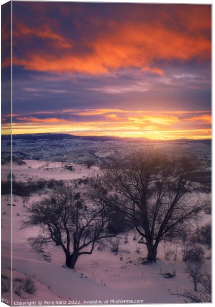 Beautiful Winter Sunset in a Snowy Landscape  Canvas Print by Pere Sanz