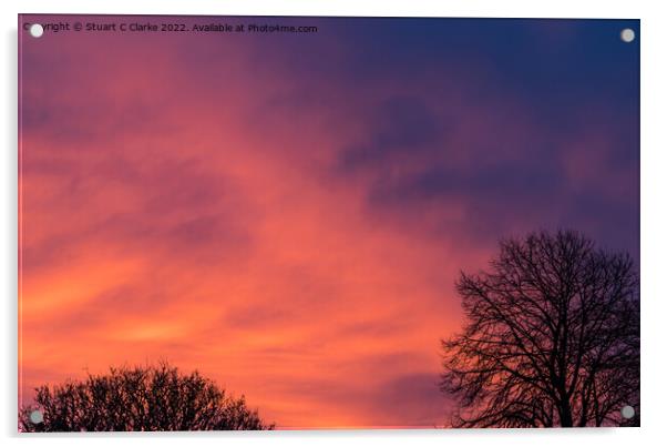 Winter sunrise Acrylic by Stuart C Clarke