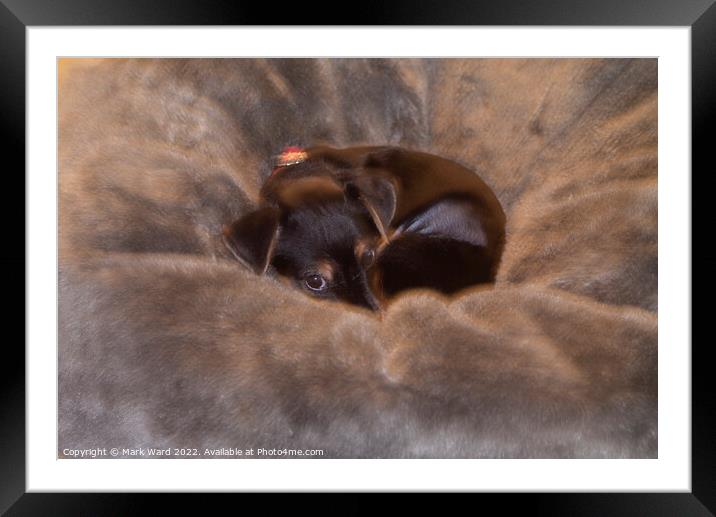 Warm and Safe Framed Mounted Print by Mark Ward