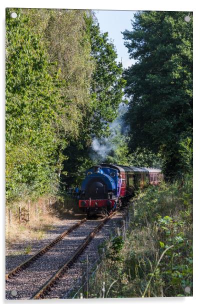 Train on the Ribble Steam Railway Acrylic by Jason Wells