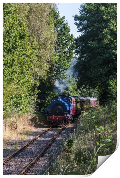 Train on the Ribble Steam Railway Print by Jason Wells
