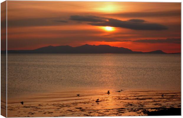 Sunset Over the Isle of Arran Canvas Print by Derek Beattie