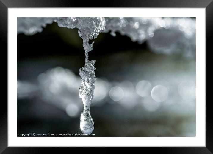 Frozen drops of water Framed Mounted Print by Ivor Bond