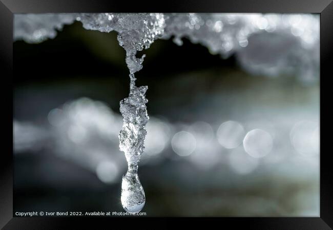 Frozen drops of water Framed Print by Ivor Bond