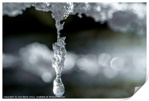 Frozen drops of water Print by Ivor Bond