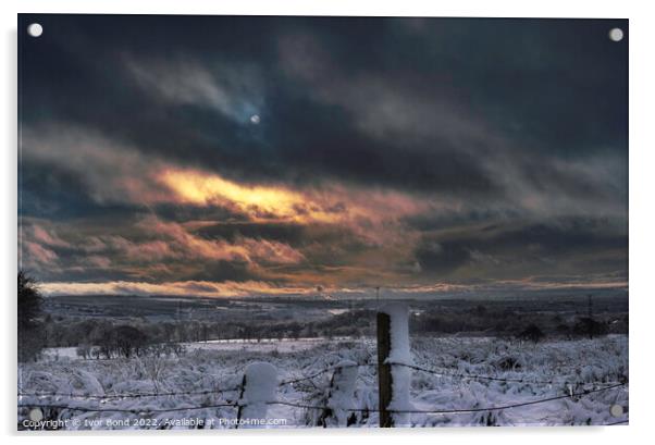 Winter Skies Acrylic by Ivor Bond