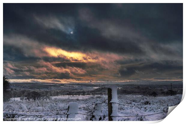 Winter Skies Print by Ivor Bond
