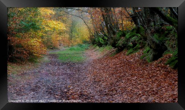 A woodland track in Autumn Framed Print by Jim Butler