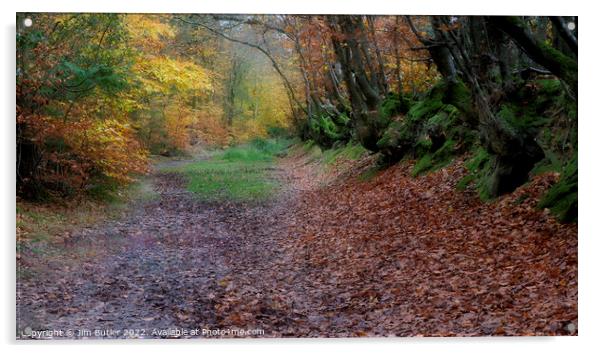A woodland track in Autumn Acrylic by Jim Butler