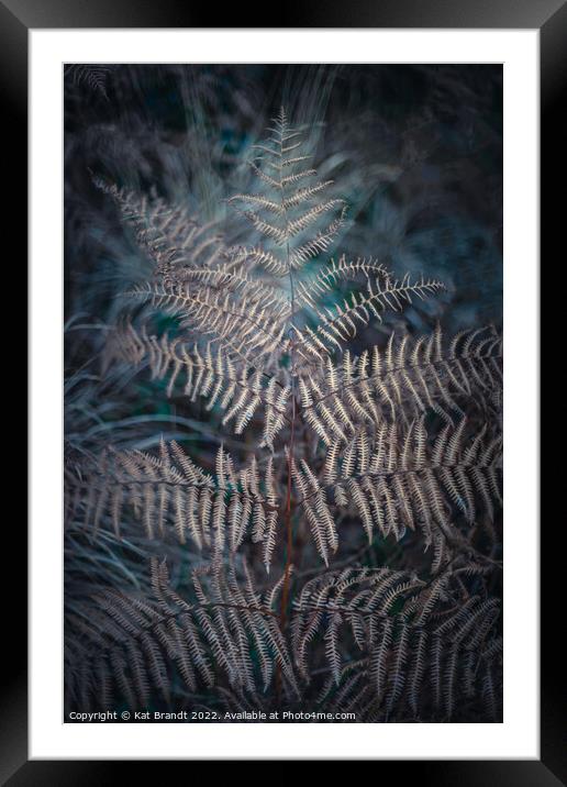 Winter Fern Framed Mounted Print by KB Photo