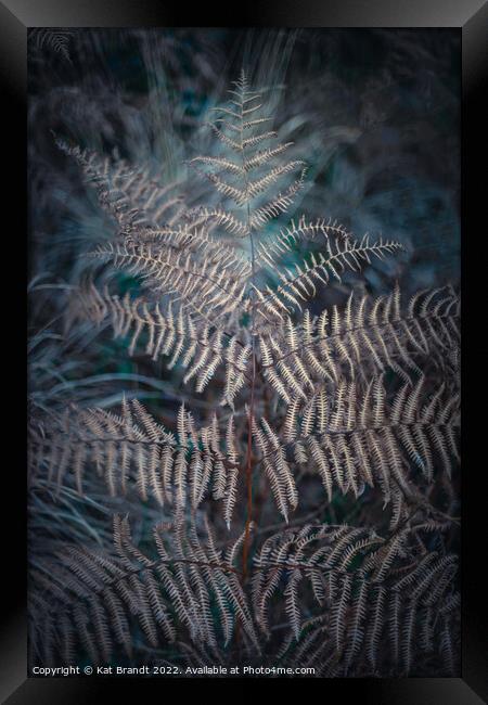 Winter Fern Framed Print by KB Photo